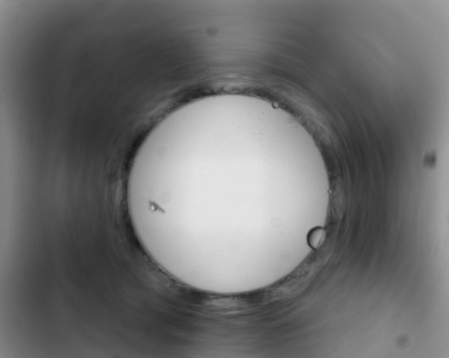 X0000102770417200808180959