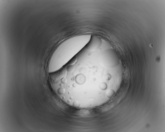 X0000102770418200808180959