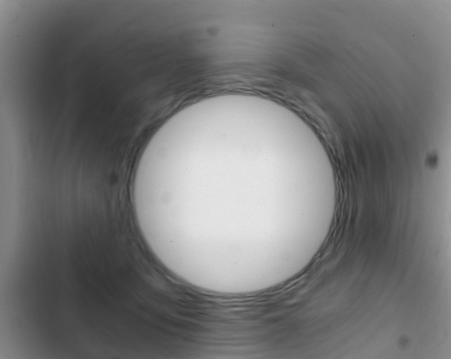 X0000102770419200808180959