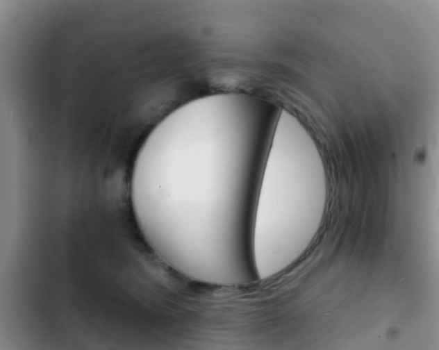 X0000102770420200808180959