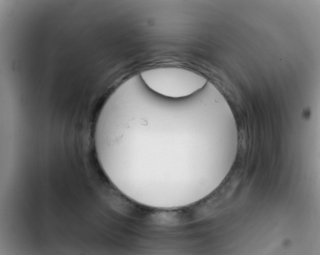 X0000102770422200808180959