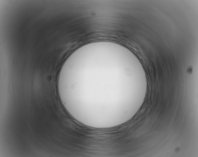 X0000102770423200808180959