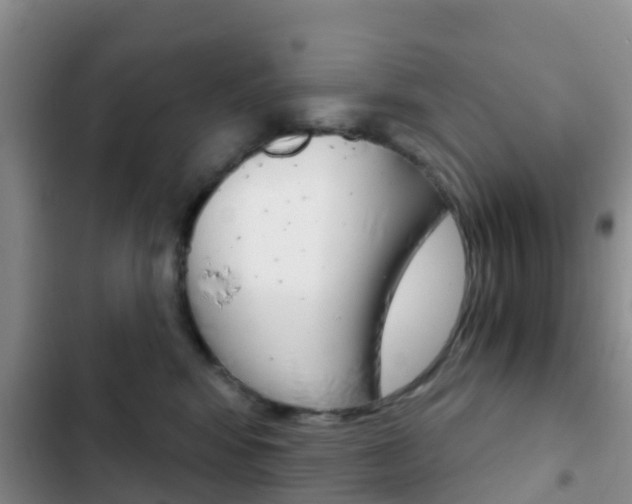 X0000102770424200808180959