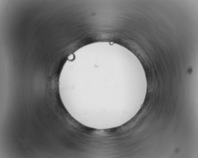 X0000102770425200808180959