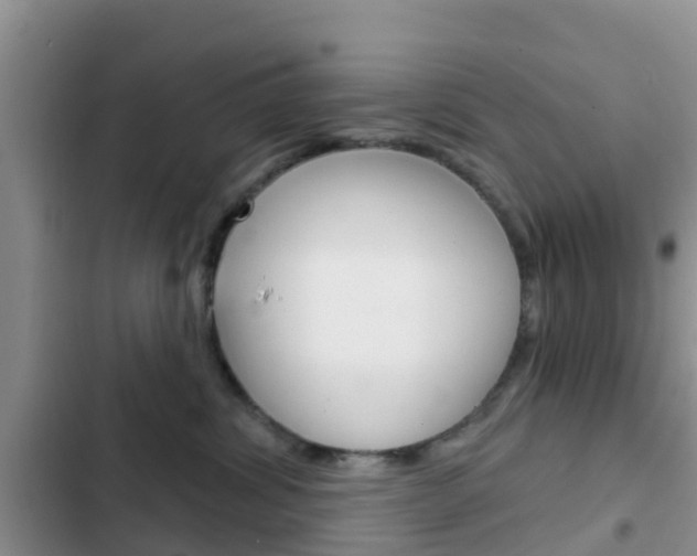 X0000102770428200808180959
