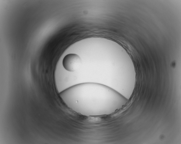 X0000102770429200808180959