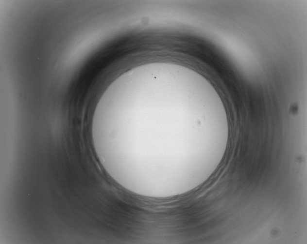 X0000102770431200808180959