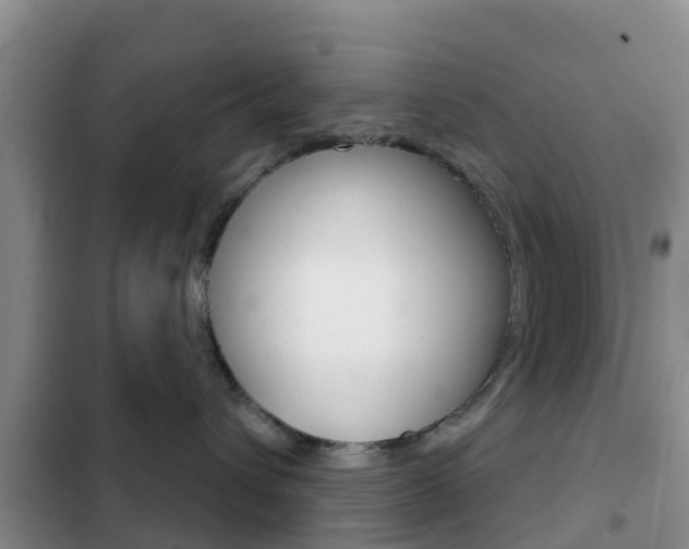 X0000102770432200808180959