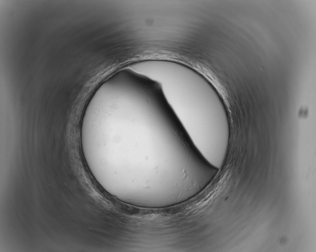 X0000102770433200808180958