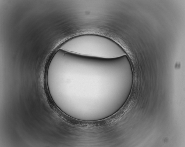 X0000102770434200808180958
