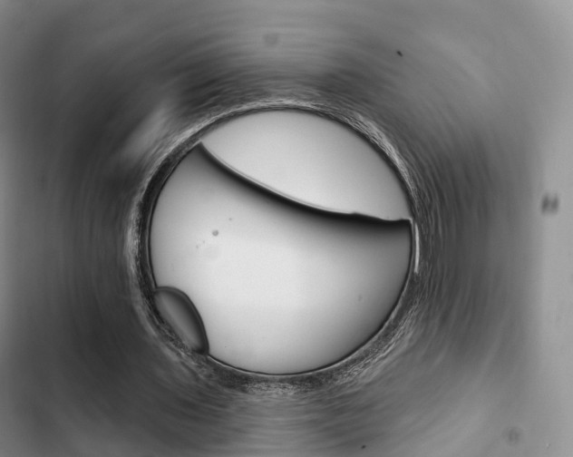 X0000102770435200808180958