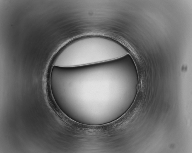 X0000102770436200808180958
