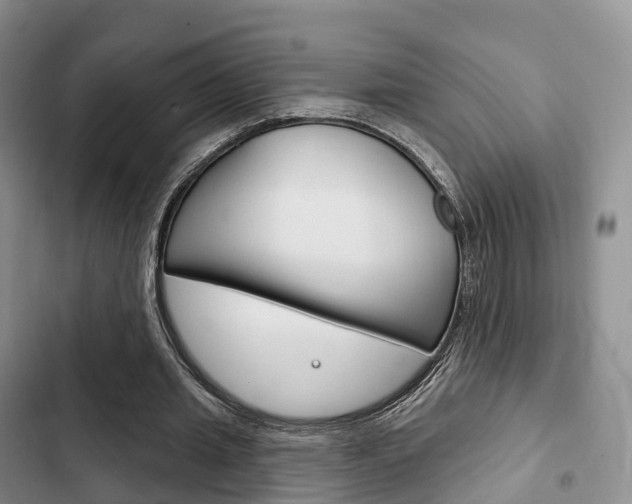 X0000102770437200808180958