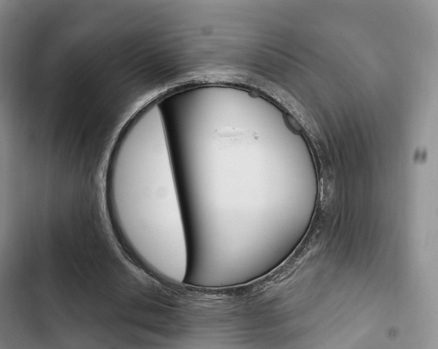 X0000102770438200808180958