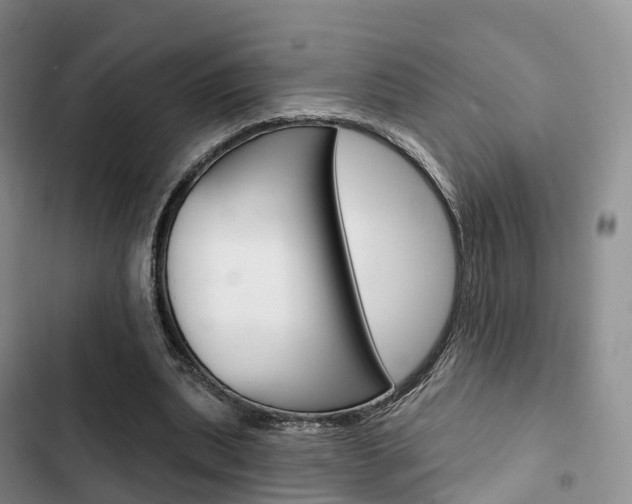X0000102770439200808180958