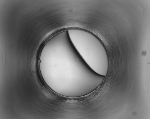 X0000102770440200808180958