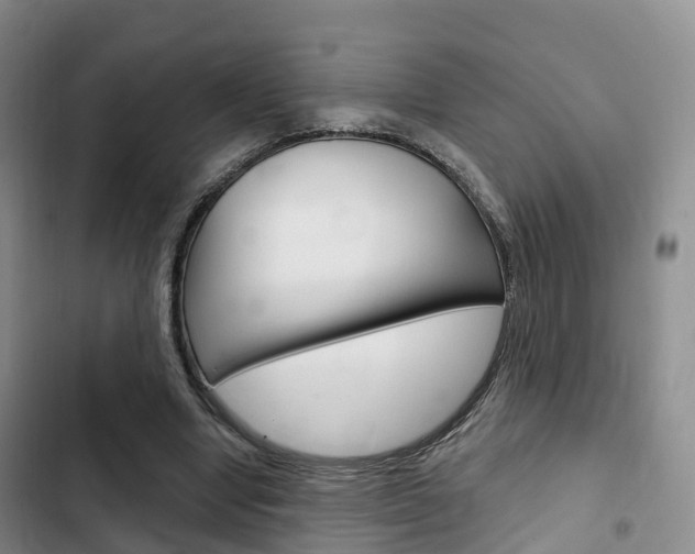 X0000102770442200808180959