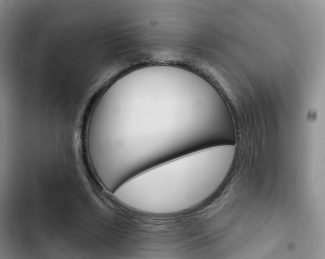 X0000102770443200808180959