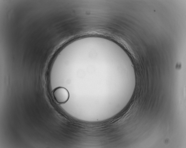 X0000102770444200808180959