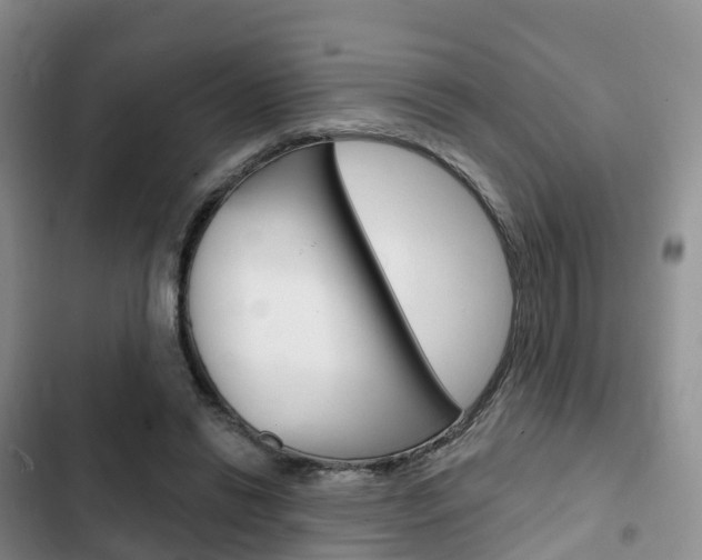 X0000102770446200808180959