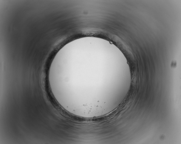 X0000102770448200808180959