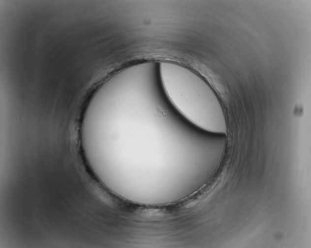 X0000102770449200808180959