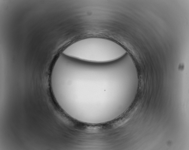 X0000102770450200808180959