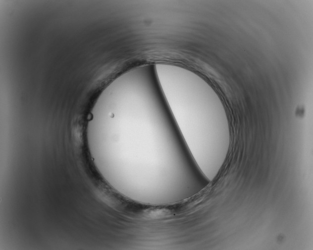 X0000102770452200808180959