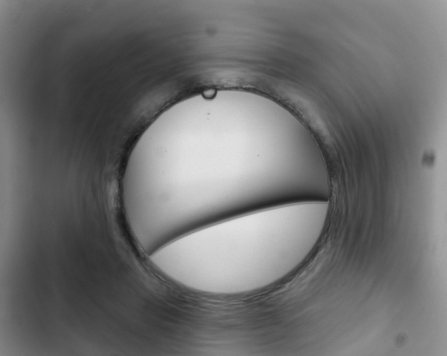 X0000102770453200808180959