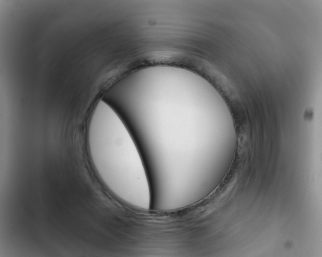 X0000102770454200808180959