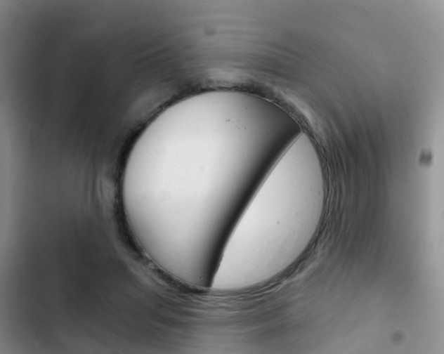 X0000102770455200808180959