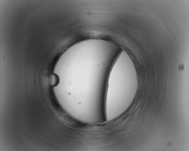 X0000102770456200808180959