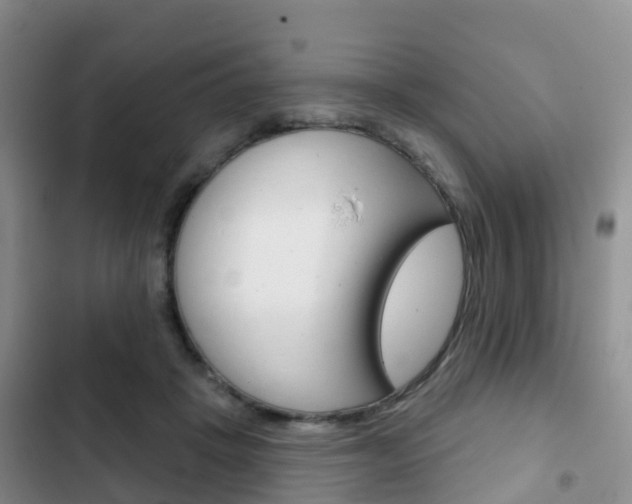 X0000102770457200808180959