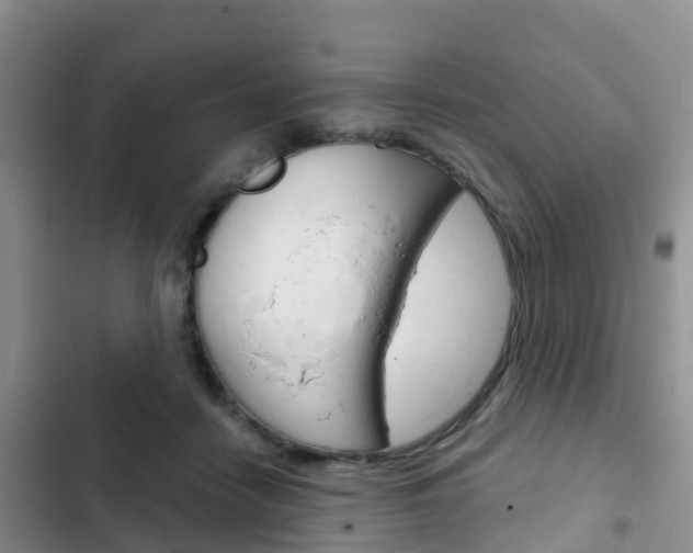 X0000102770458200808180959
