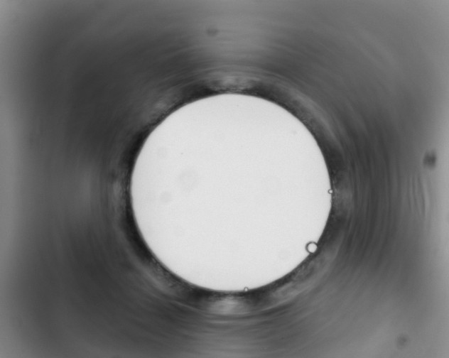 X0000102770460200808180959