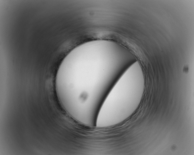 X0000102770461200808180959