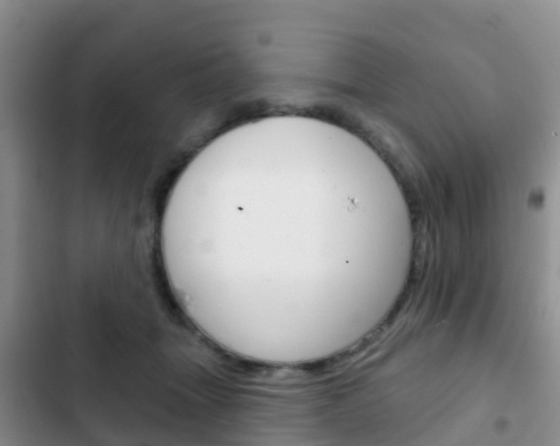 X0000102770463200808180959