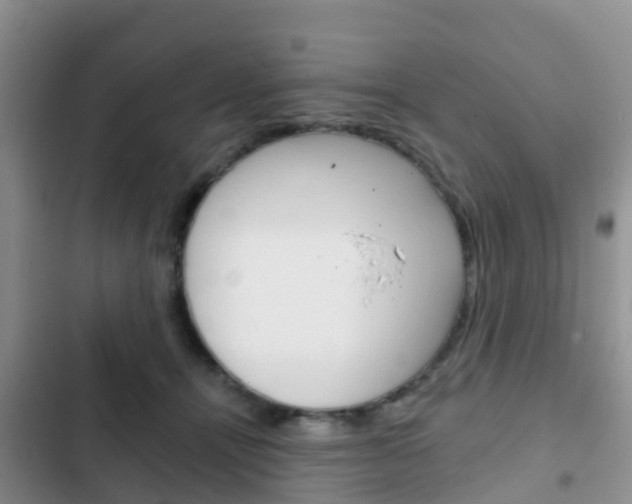 X0000102770464200808180959