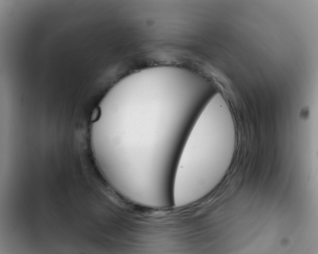 X0000102770465200808180959
