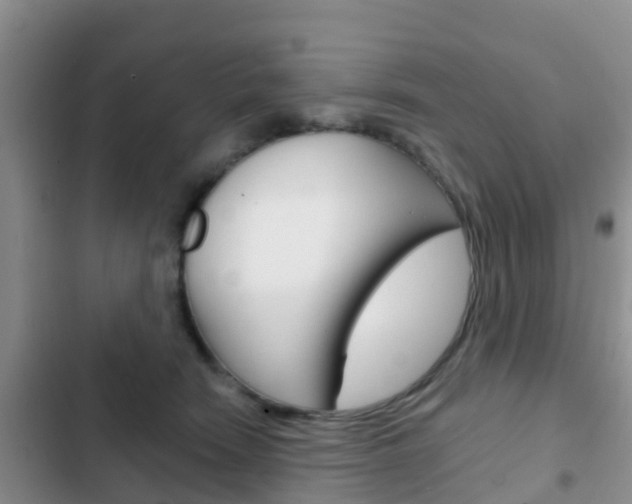 X0000102770466200808180959