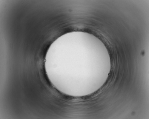 X0000102770468200808180959