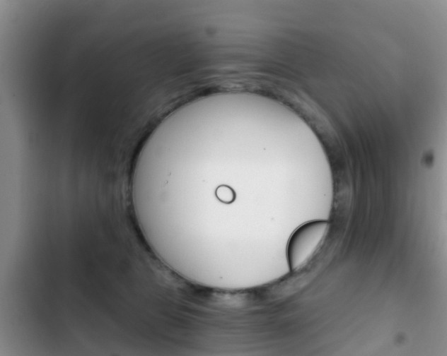 X0000102770469200808180959