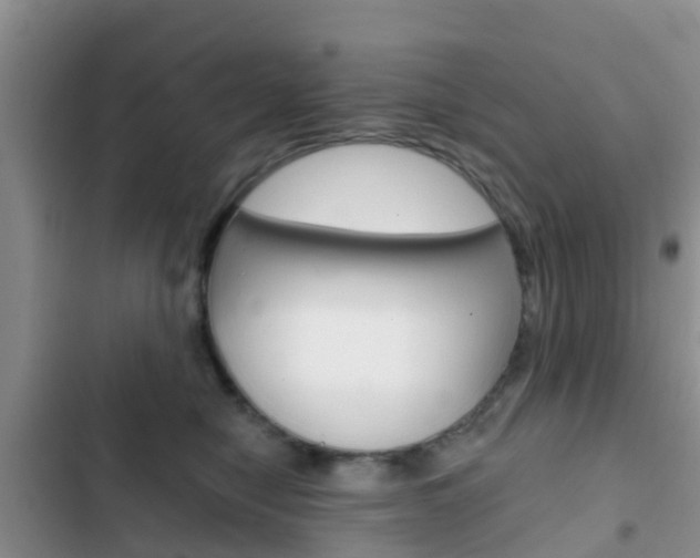 X0000102770470200808180959