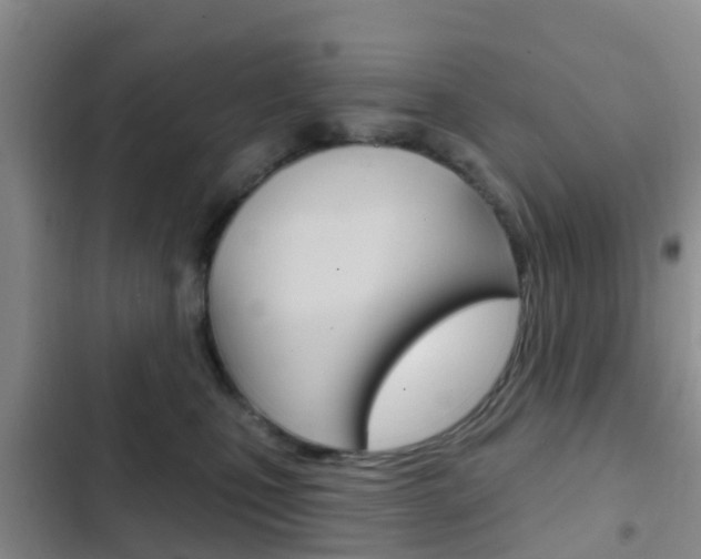 X0000102770471200808180959
