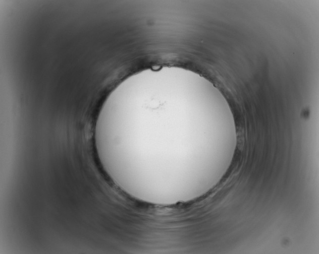 X0000102770472200808180959