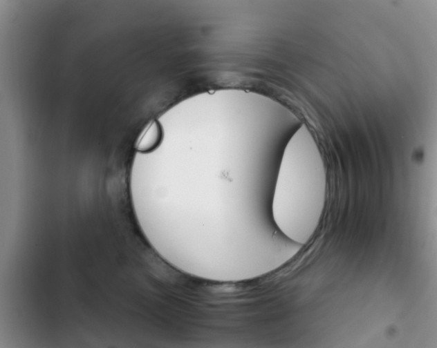 X0000102770473200808180959