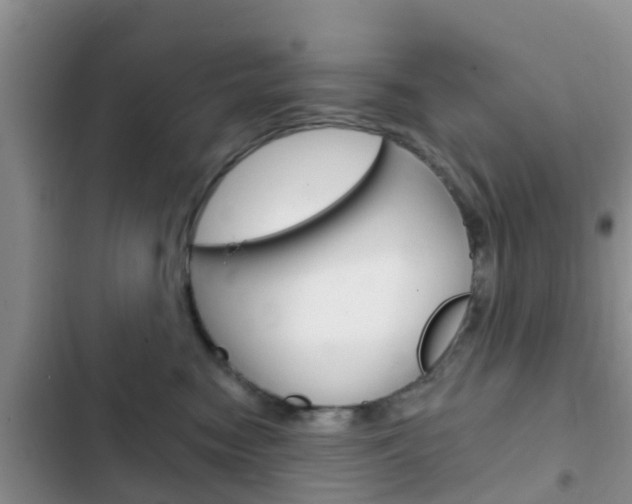 X0000102770474200808180959
