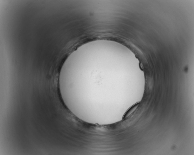 X0000102770475200808180959