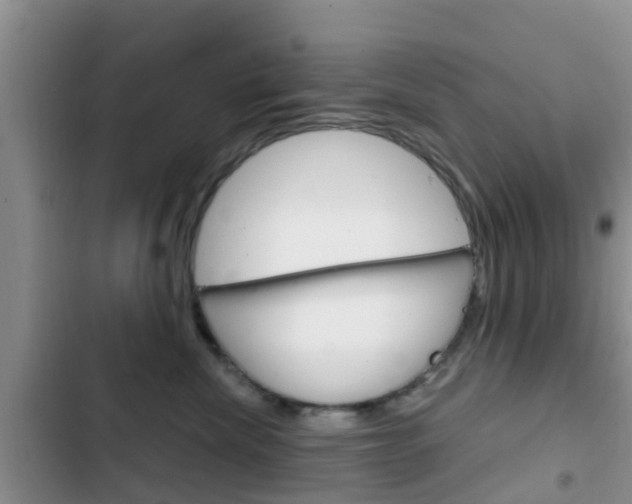 X0000102770476200808180959