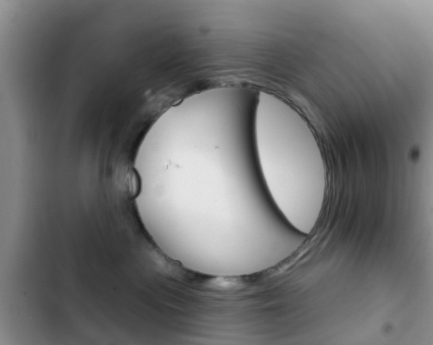X0000102770477200808180959